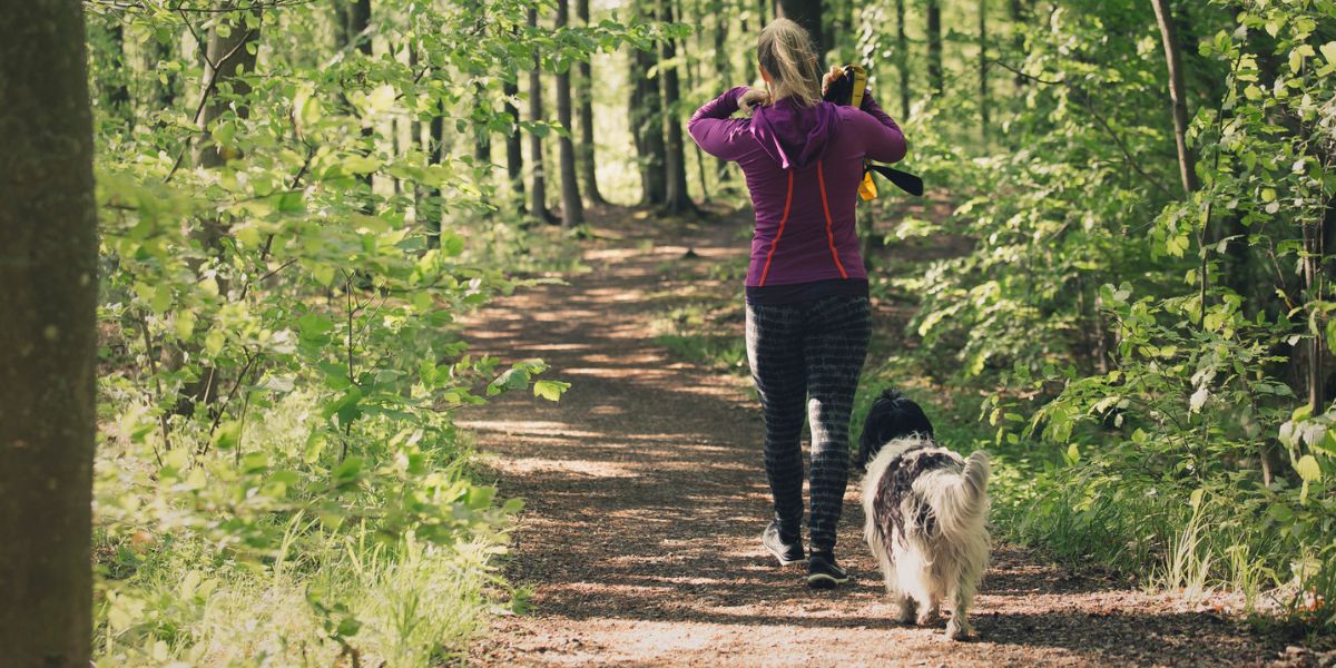 frisk luft og gåture er godt for at bekæmpe fysisk inaktivitet