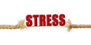 tips til stressforebyggelse i en travl hverdag
